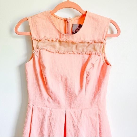 Lela Rose Blush Pink Grace Full-Skirt Fringe-Trim Mini Dress sz 4 - Picture 6 of 13